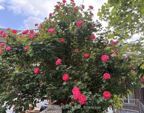 Photo 3 at 13 Auburn Avenue, Davenport, Toronto Photo 3 at 13 Auburn Avenue, Davenport, Toronto