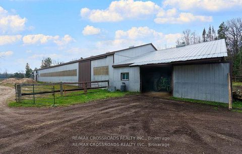 Photo 25 at 2726 9Th Line, Rural Innisfil, Innisfil