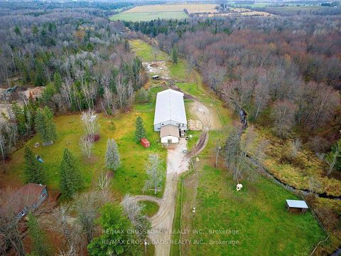 Photo 29 at 2726 9Th Line, Rural Innisfil, Innisfil