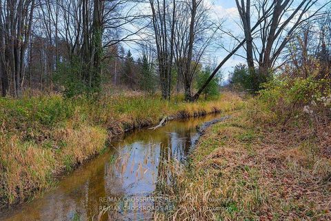 Photo 33 at 2726 9Th Line, Rural Innisfil, Innisfil