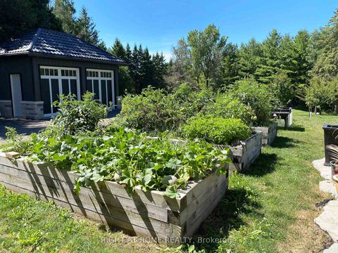 Photo 33 at 15670 10th Concession Road, Rural King, King