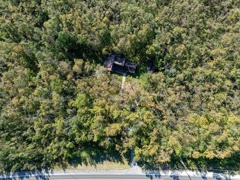 Photo 40 at 1415 County Rd 124 Road, Rural Clearview, Clearview Photo 40 at 1415 County Rd 124 Road, Rural Clearview, Clearview