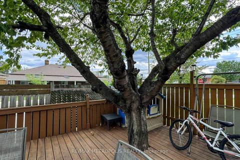 Photo 35 at 49 Magellan Drive, Jane Heights, Toronto