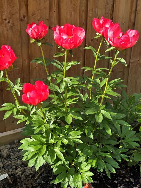 Photo 40 at 1457 Lormel Gate Avenue, Lefroy, Innisfil Photo 40 at 1457 Lormel Gate Avenue, Lefroy, Innisfil