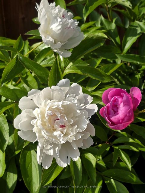 Photo 41 at 1457 Lormel Gate Avenue, Lefroy, Innisfil