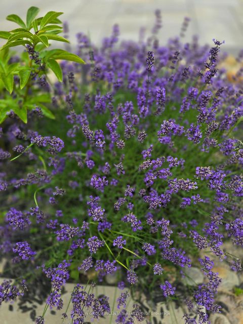 Photo 42 at 1457 Lormel Gate Avenue, Lefroy, Innisfil