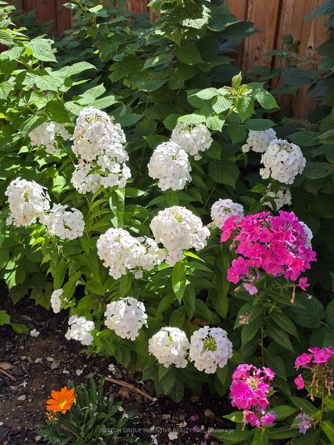 Photo 43 at 1457 Lormel Gate Avenue, Lefroy, Innisfil Photo 43 at 1457 Lormel Gate Avenue, Lefroy, Innisfil