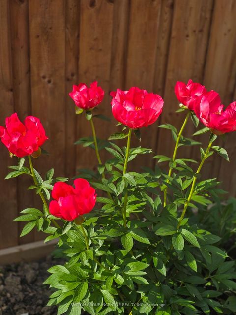 Photo 44 at 1457 Lormel Gate Avenue, Lefroy, Innisfil Photo 44 at 1457 Lormel Gate Avenue, Lefroy, Innisfil