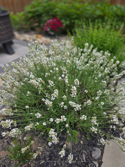 Photo 45 at 1457 Lormel Gate Avenue, Lefroy, Innisfil