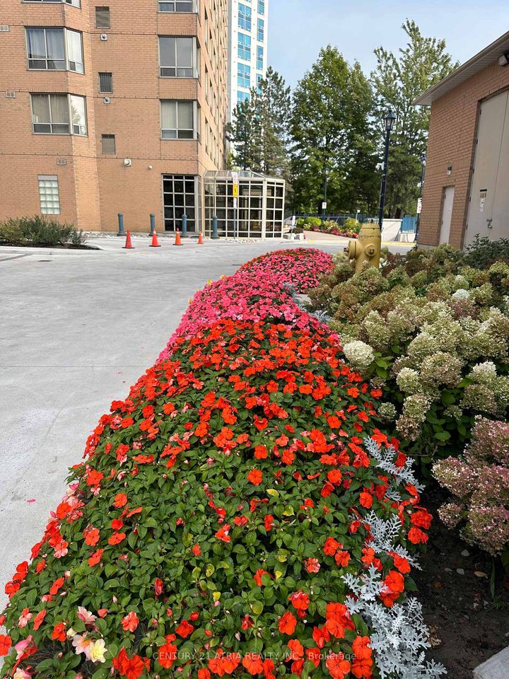 Photo 15 at 2605 - 115 Omni Drive, Bendale, Toronto