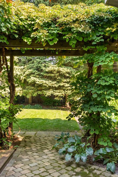 Photo 30 at 53 Colin Avenue, Eglinton, Toronto