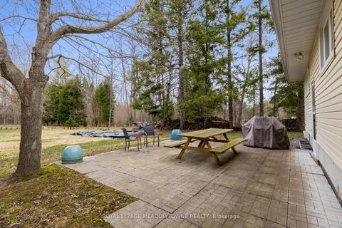 Photo 35 at 208 Martin Street, King City, King