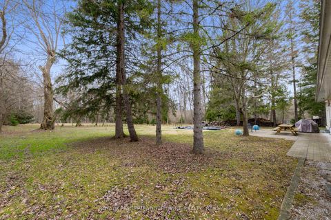 Photo 38 at 208 Martin Street, King City, King