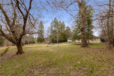 Photo 39 at 208 Martin Street, King City, King