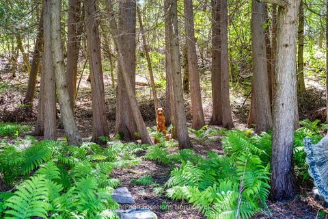 Photo 38 at 7 Purple Hill Lane, Creemore, Clearview