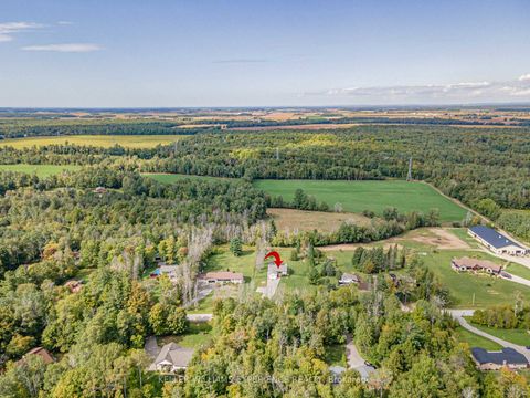 Photo 48 at 5274 5 Sunnidale Concession Road, New Lowell, Clearview Photo 48 at 5274 5 Sunnidale Concession Road, New Lowell, Clearview