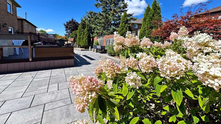 Photo 46 at 10 MACRILL Road, Cachet, Markham