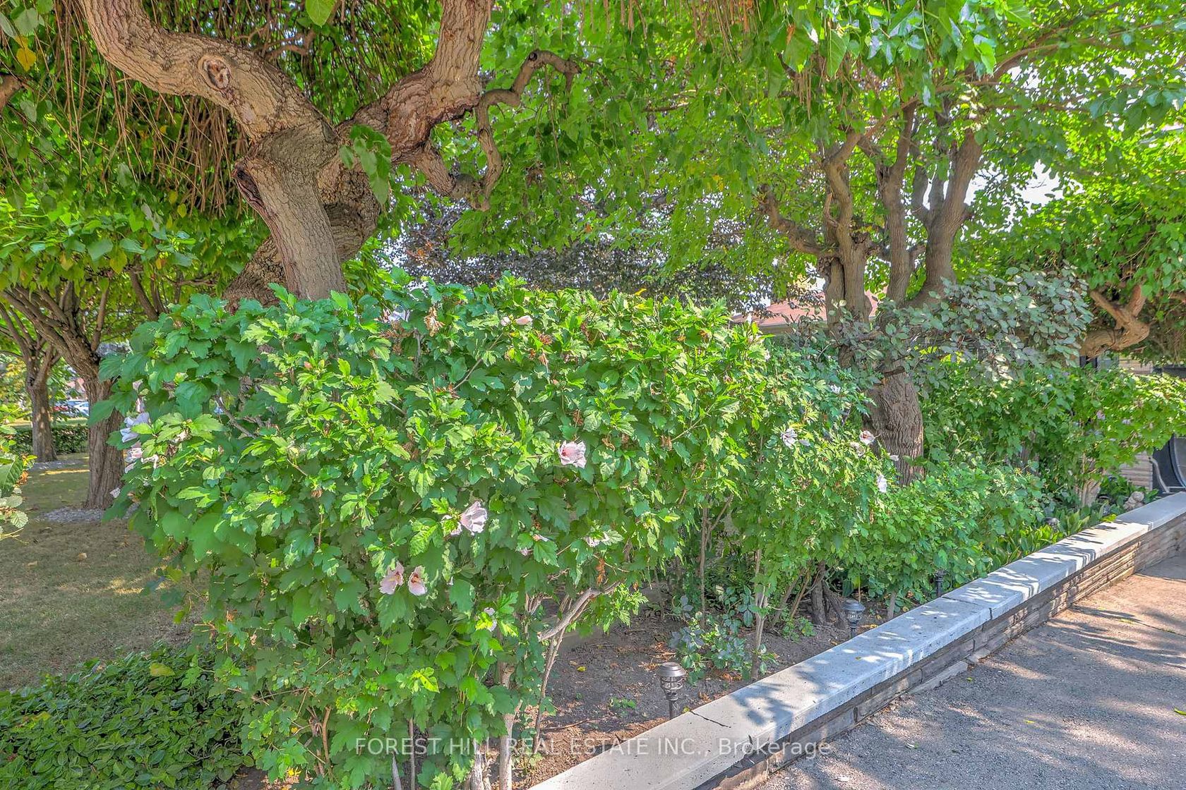 Photo 3 at 89 Portage Avenue, Pelmo Park W4, Toronto