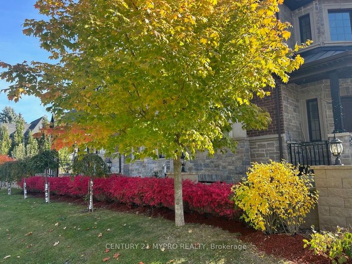Photo 38 at 9A Anglin Drive, Jefferson, Richmond Hill