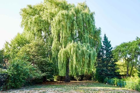 Photo 18 at 146 Sylvan Avenue, Guildwood, Toronto