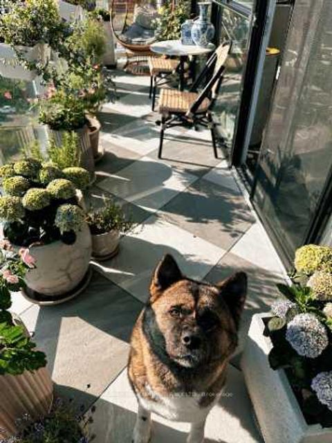 Photo 1 at 1016 - 251 Manitoba Street, Mimico, Toronto Photo 1 at 1016 - 251 Manitoba Street, Mimico, Toronto