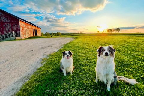 Photo 8 at 1154 Fairgrounds Road S, Rural Clearview, Clearview Photo 8 at 1154 Fairgrounds Road S, Rural Clearview, Clearview