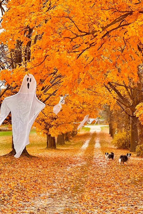 Photo 42 at 1154 Fairgrounds Road S, Rural Clearview, Clearview Photo 42 at 1154 Fairgrounds Road S, Rural Clearview, Clearview