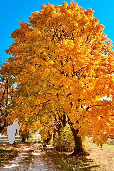 Photo 43 at 1154 Fairgrounds Road S, Rural Clearview, Clearview