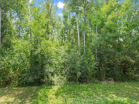 Photo 28 at 279 Atkinson Street, Stayner, Clearview