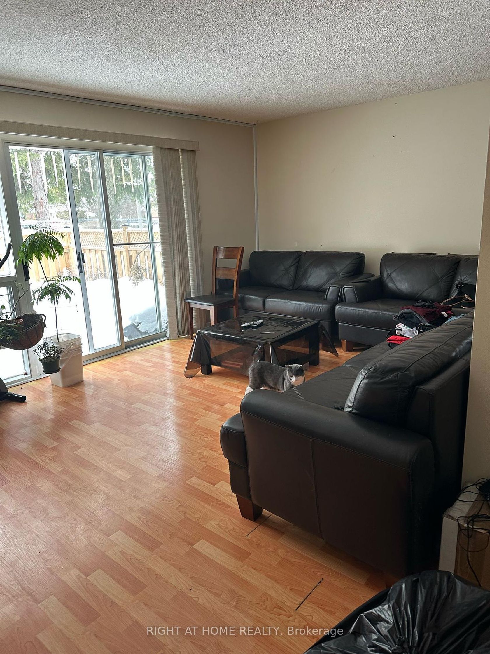 1 - 3409 st.clair Avenue E, Birchmount, Toronto 