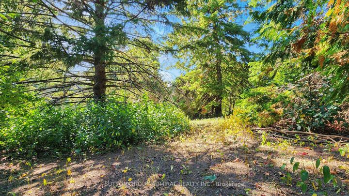 Photo 46 at 62 Shieldmark Crescent, Royal Orchard, Markham