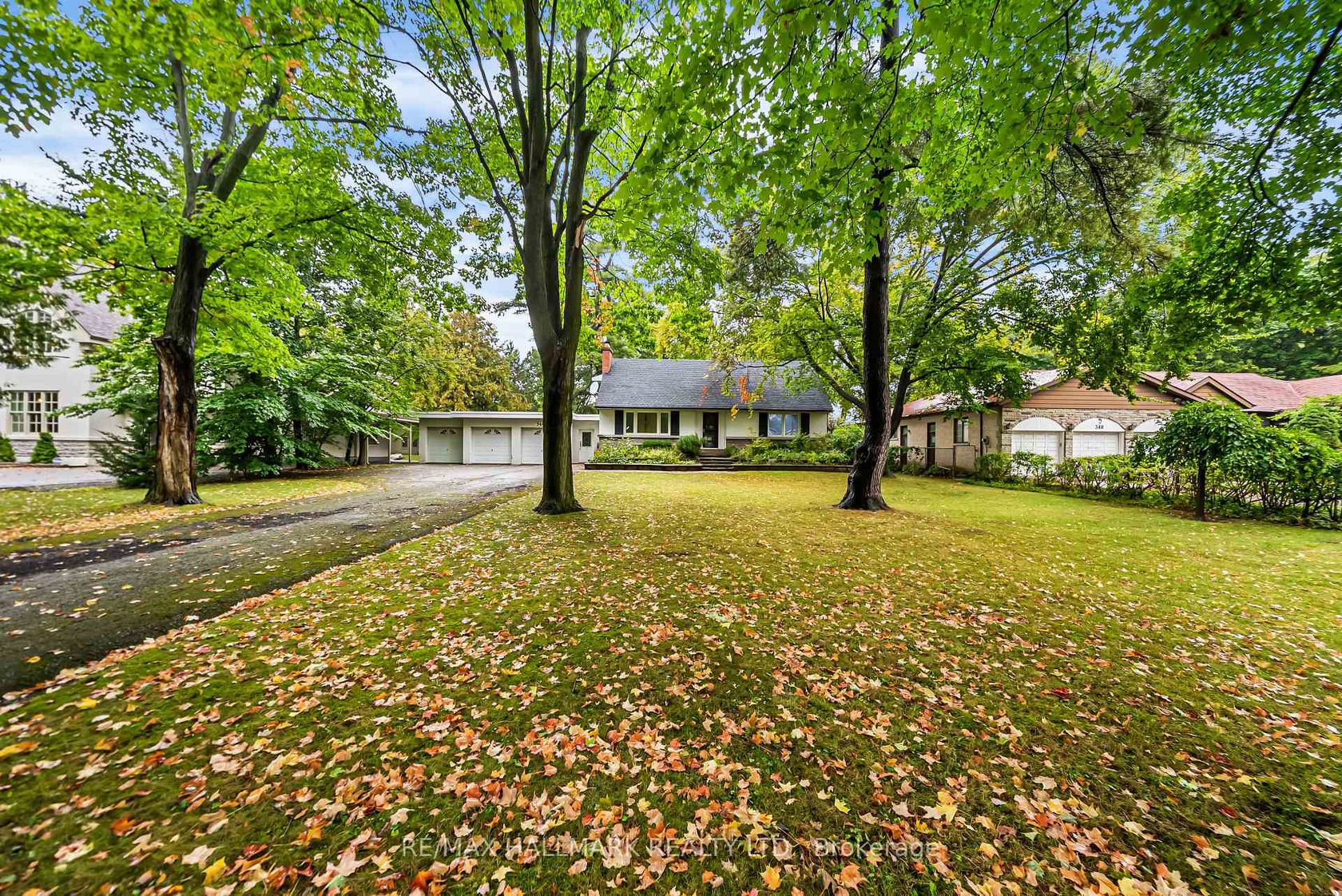 344 Spring Garden Avenue, Willowdale East, Toronto 