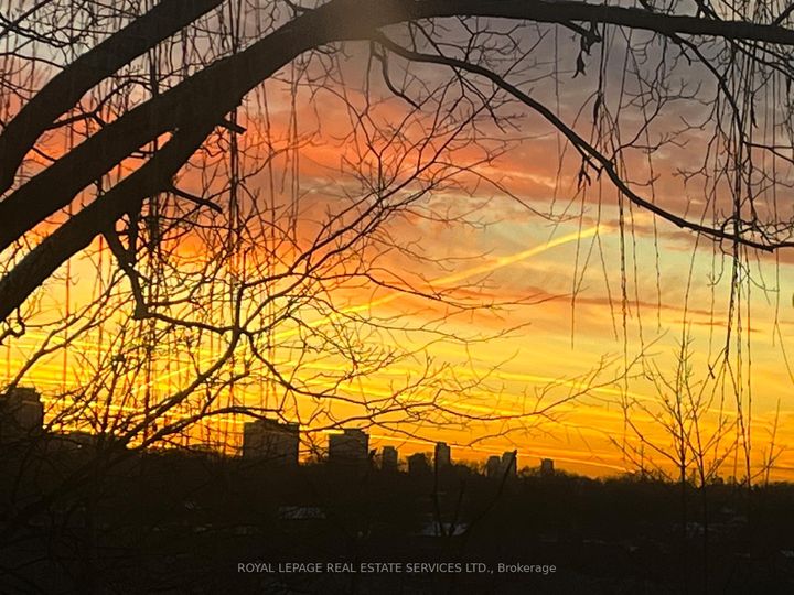 Photo 31 at 154 Humbercrest Boulevard, Bloor West Village, Toronto