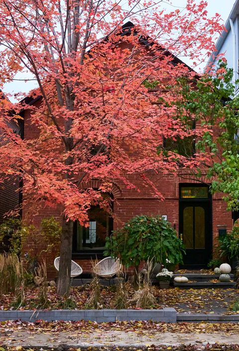 Photo 1 at 239 Borden Street, University, Toronto
