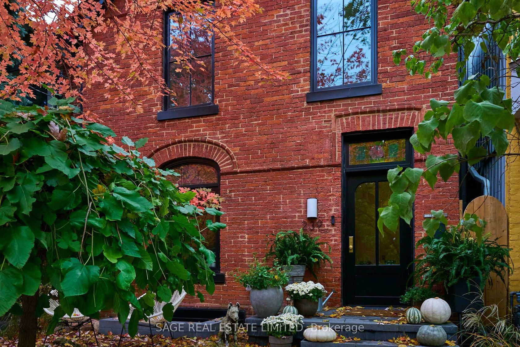 239 Borden Street, University, Toronto 