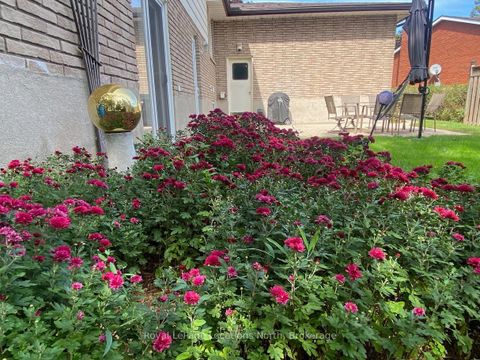 Photo 14 at 221 John Street, Stayner, Clearview