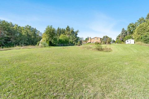 Photo 30 at 6695 10 Side Road, Rural Innisfil, Innisfil