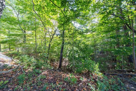 Photo 8 at 5297 Lawrence Avenue E, Centennial Scarborough, Toronto