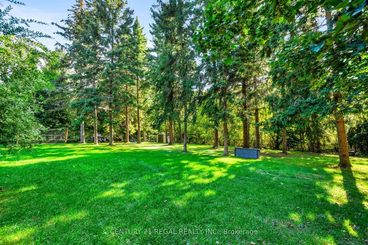 Photo 19 at 4434 Cedar Springs Road, Rural Burlington, Burlington