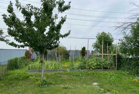 Photo 25 at 59 Blaney Crescent, Jane Heights, Toronto