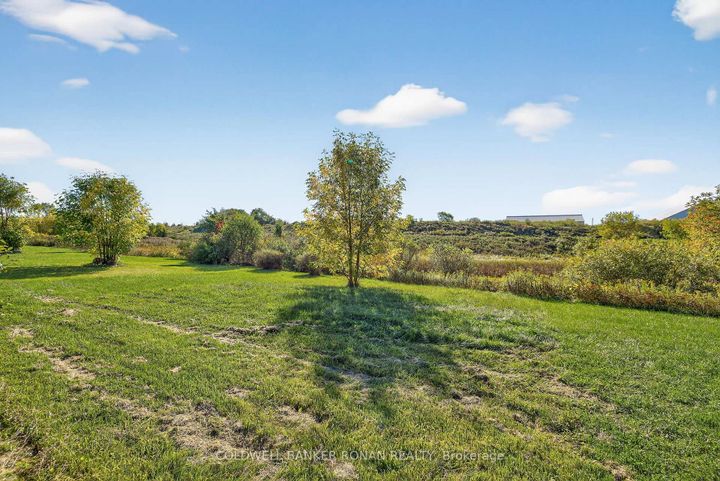 Photo 42 at 97 Parktree Drive, Maple, Vaughan