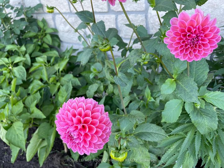 Photo 41 at 32 Delft Drive, Victoria Square, Markham