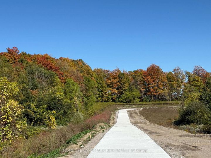 Photo 47 at 25 John Rolph Street, Cornell, Markham
