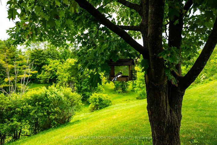 Photo 36 at 13394 Tenth Line, Rural Halton Hills, Halton Hills