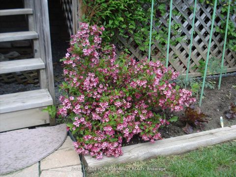 Photo 38 at 38 Brass Drive, Jefferson, Richmond Hill