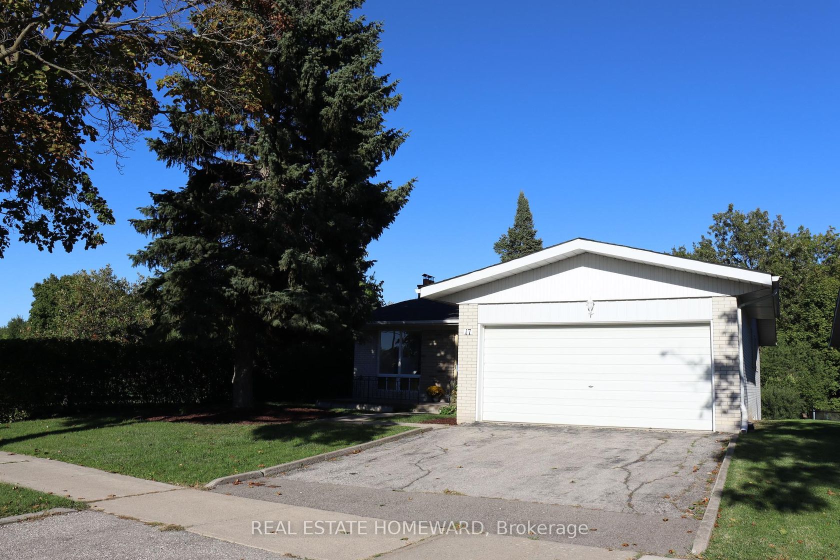 17 Collingdale Road, Jamestown, Toronto 