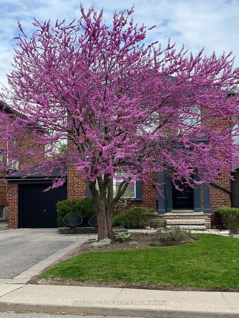 Photo 5 at 9 PEVERIL Hill S, Cedarvale, Toronto
