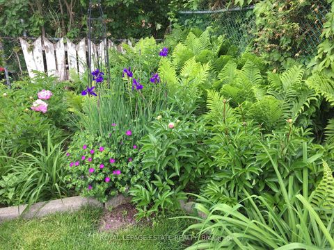 Photo 32 at 25 Ferncroft Drive, Cliffside, Toronto