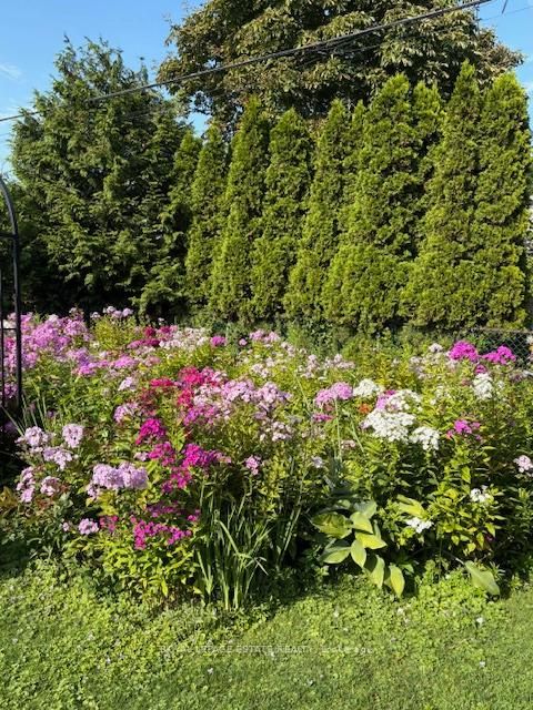 Photo 33 at 25 Ferncroft Drive, Cliffside, Toronto