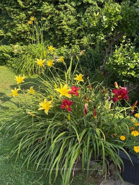 Photo 35 at 25 Ferncroft Drive, Cliffside, Toronto